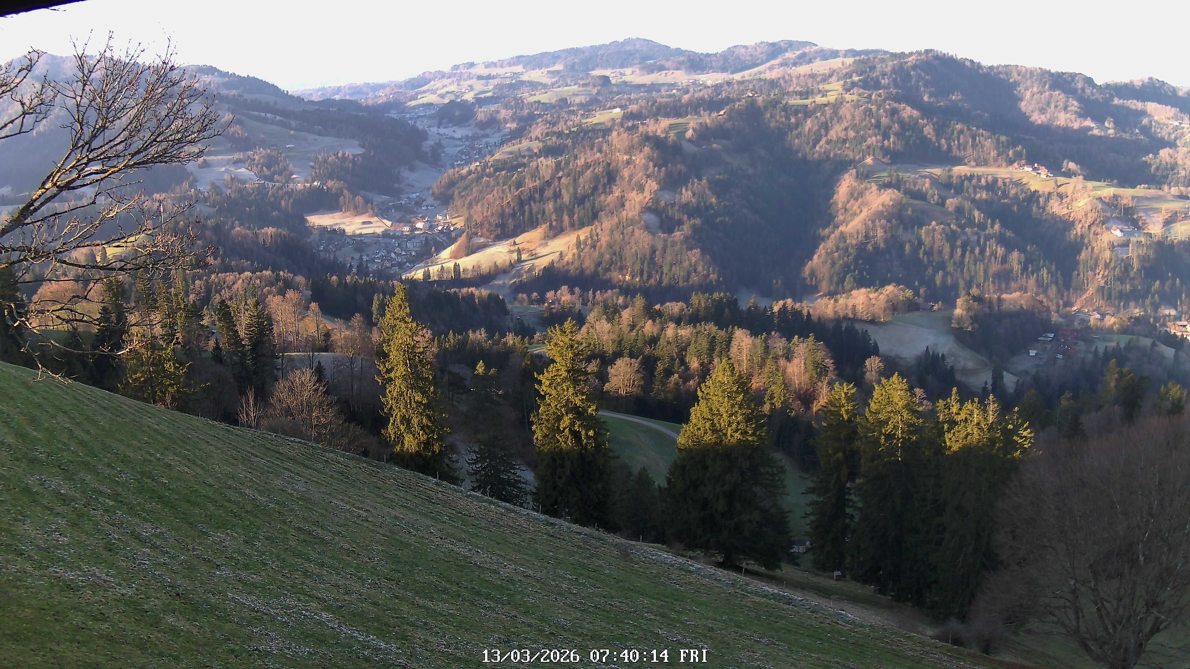 Fischenthal: Hörnli