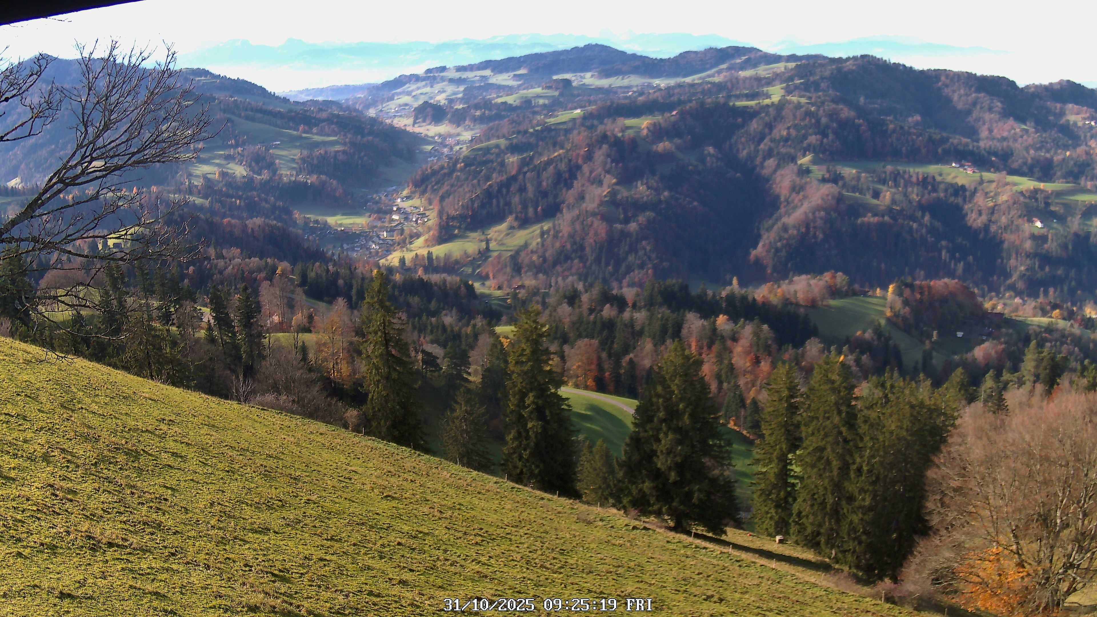 Fischenthal: Hörnli