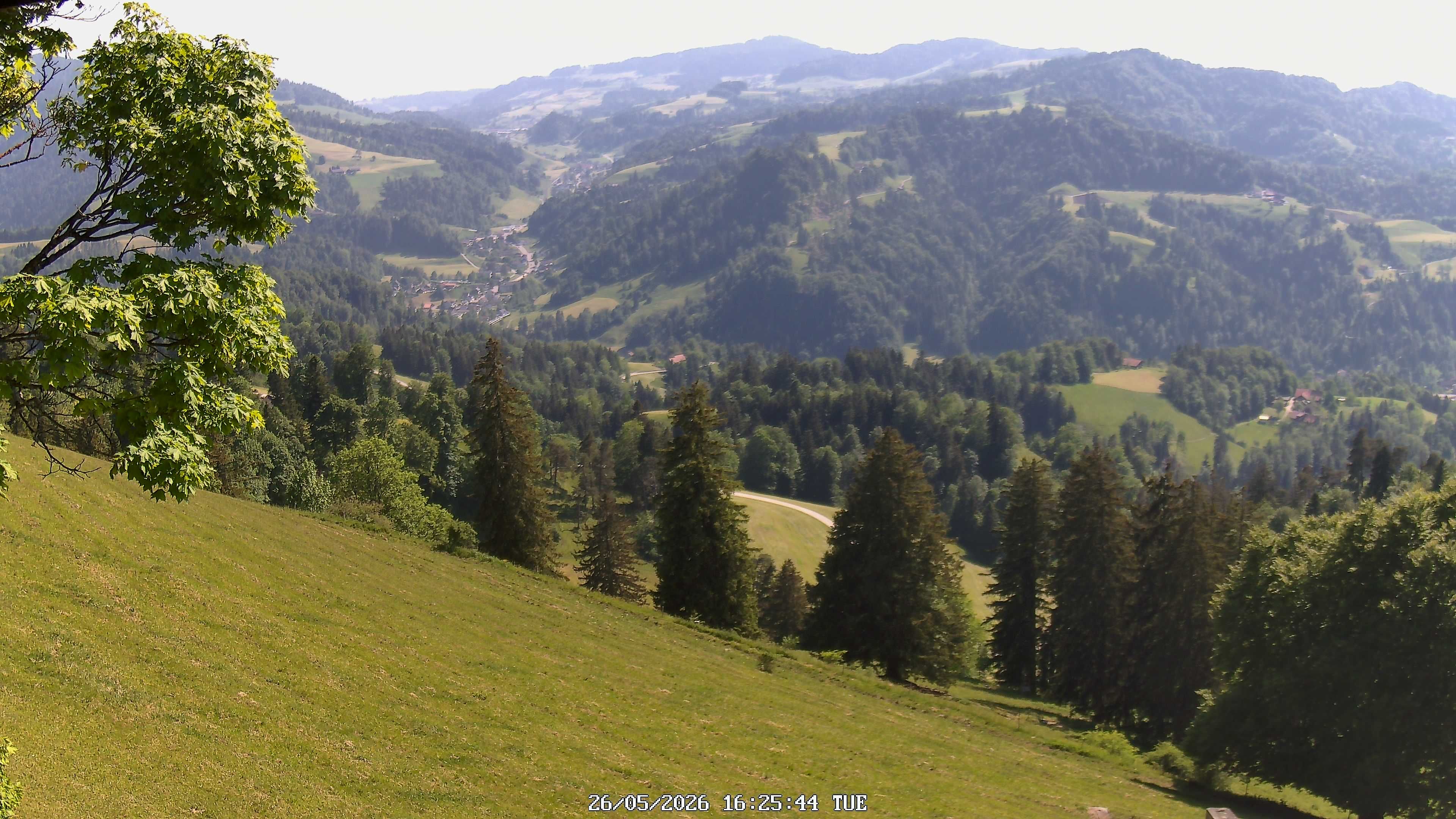 Fischenthal: Hörnli