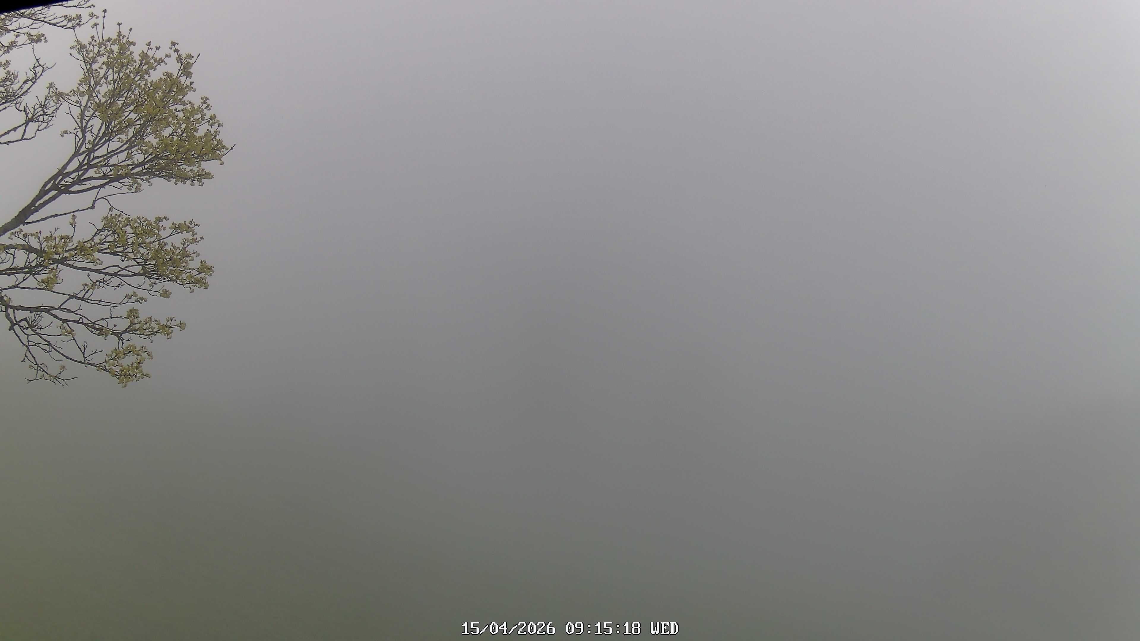 Fischenthal: Hörnli