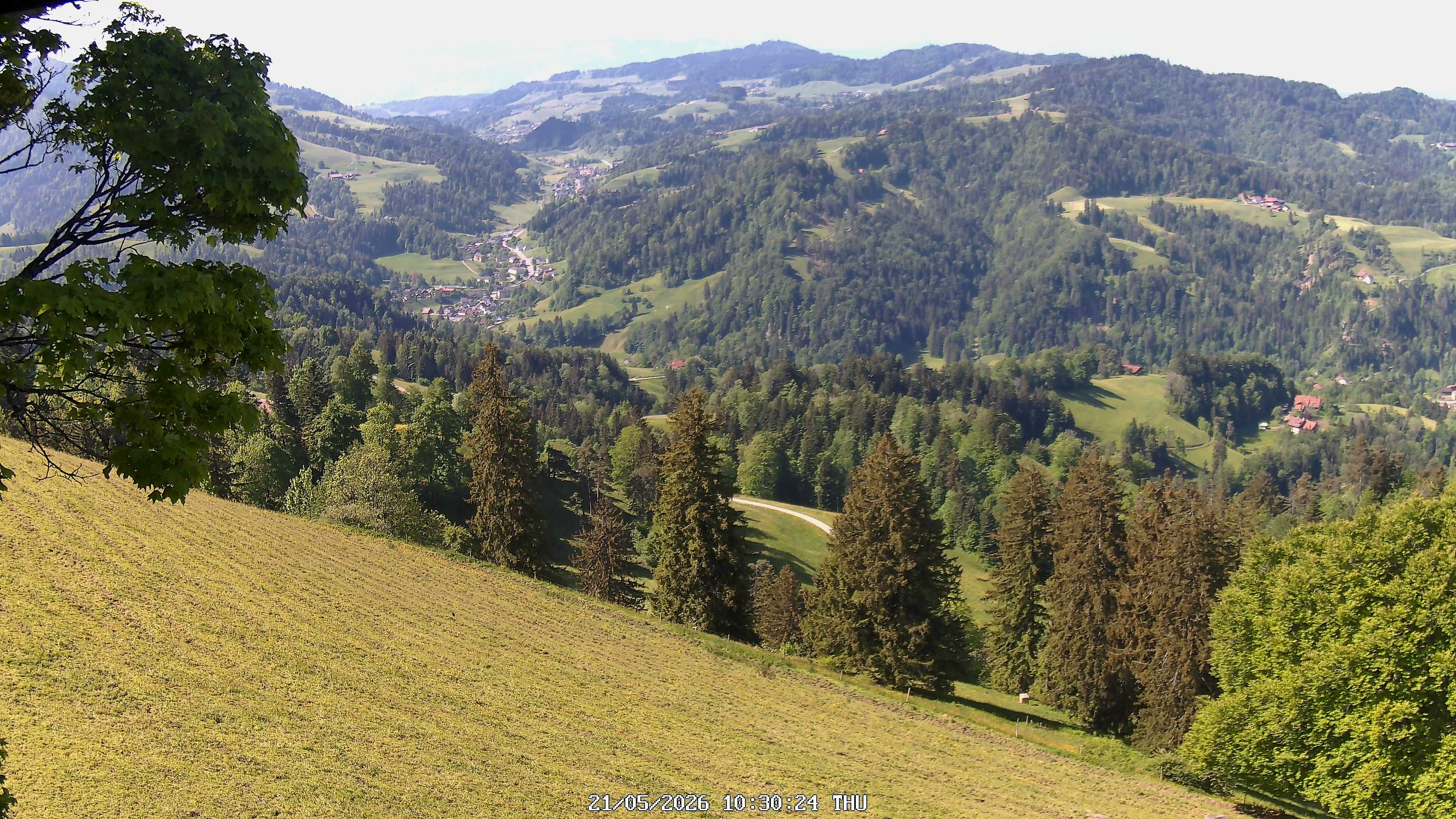 Fischenthal: Hörnli