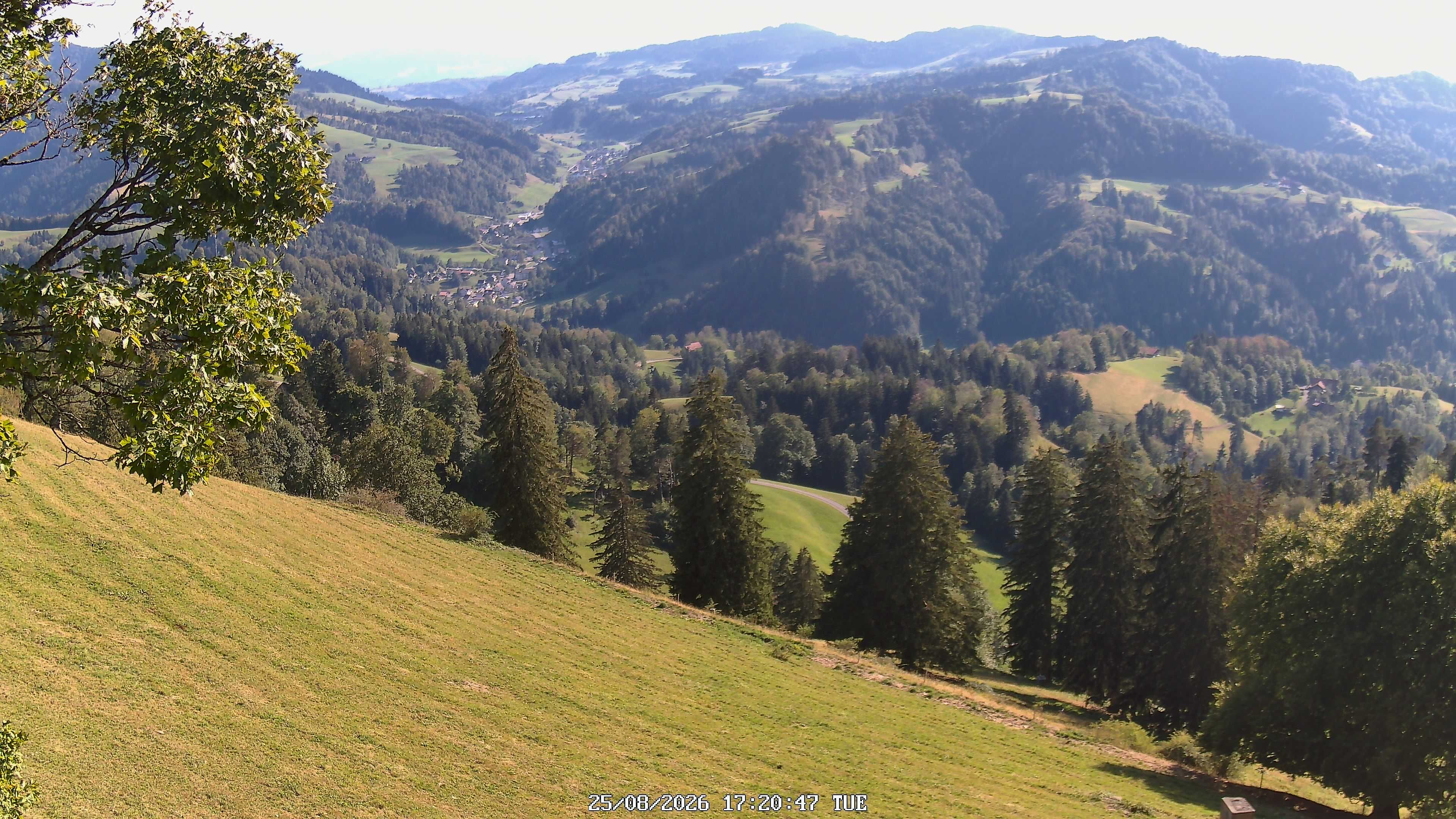 Fischenthal: Hörnli
