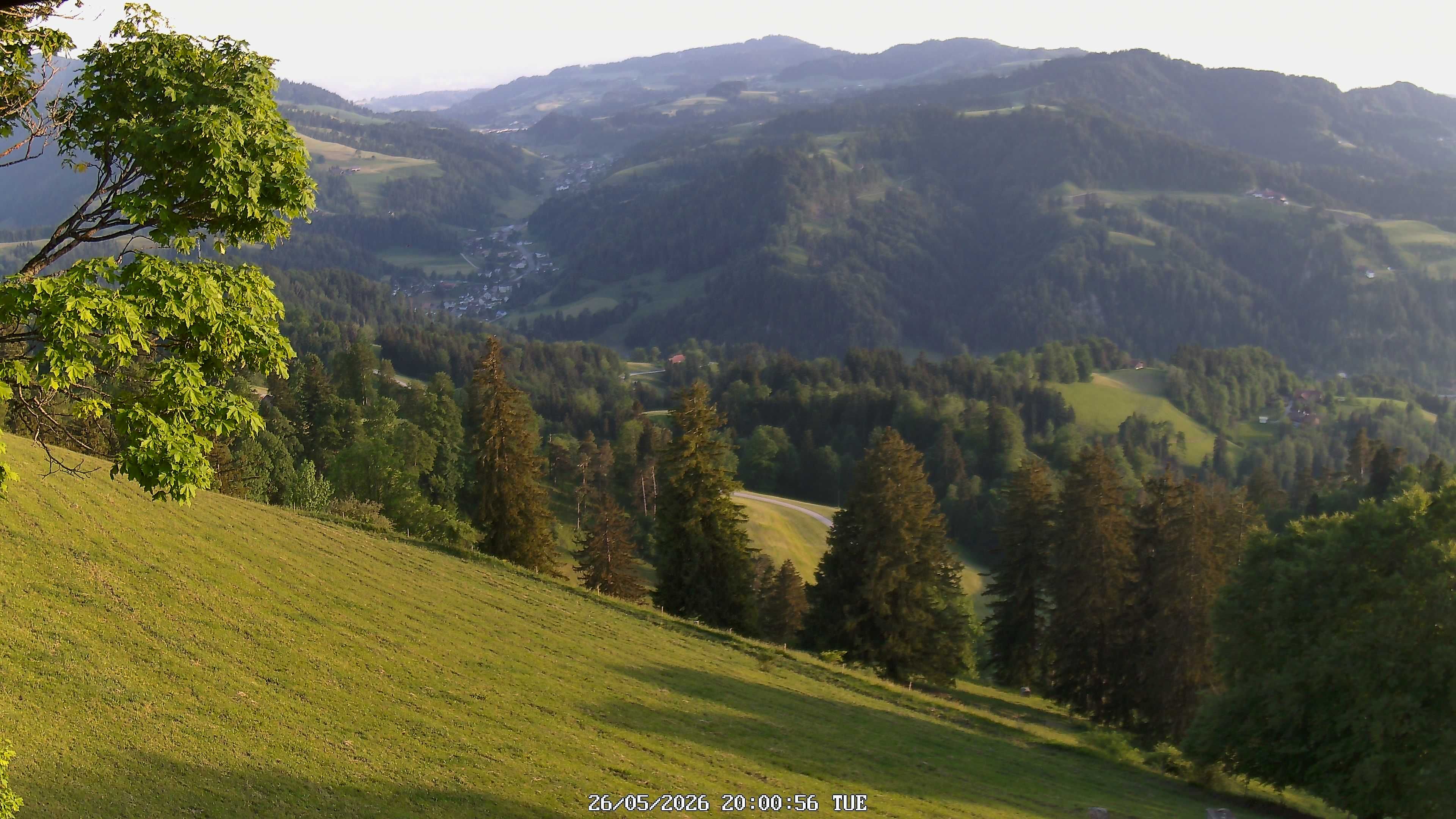 Fischenthal: Hörnli