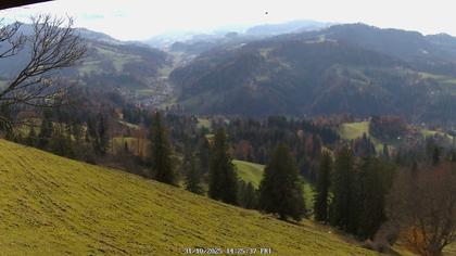 Fischenthal: Hörnli