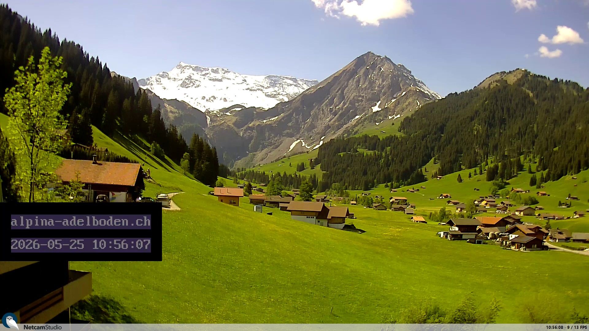 Adelboden: Engstligenalp - Wildstrubel