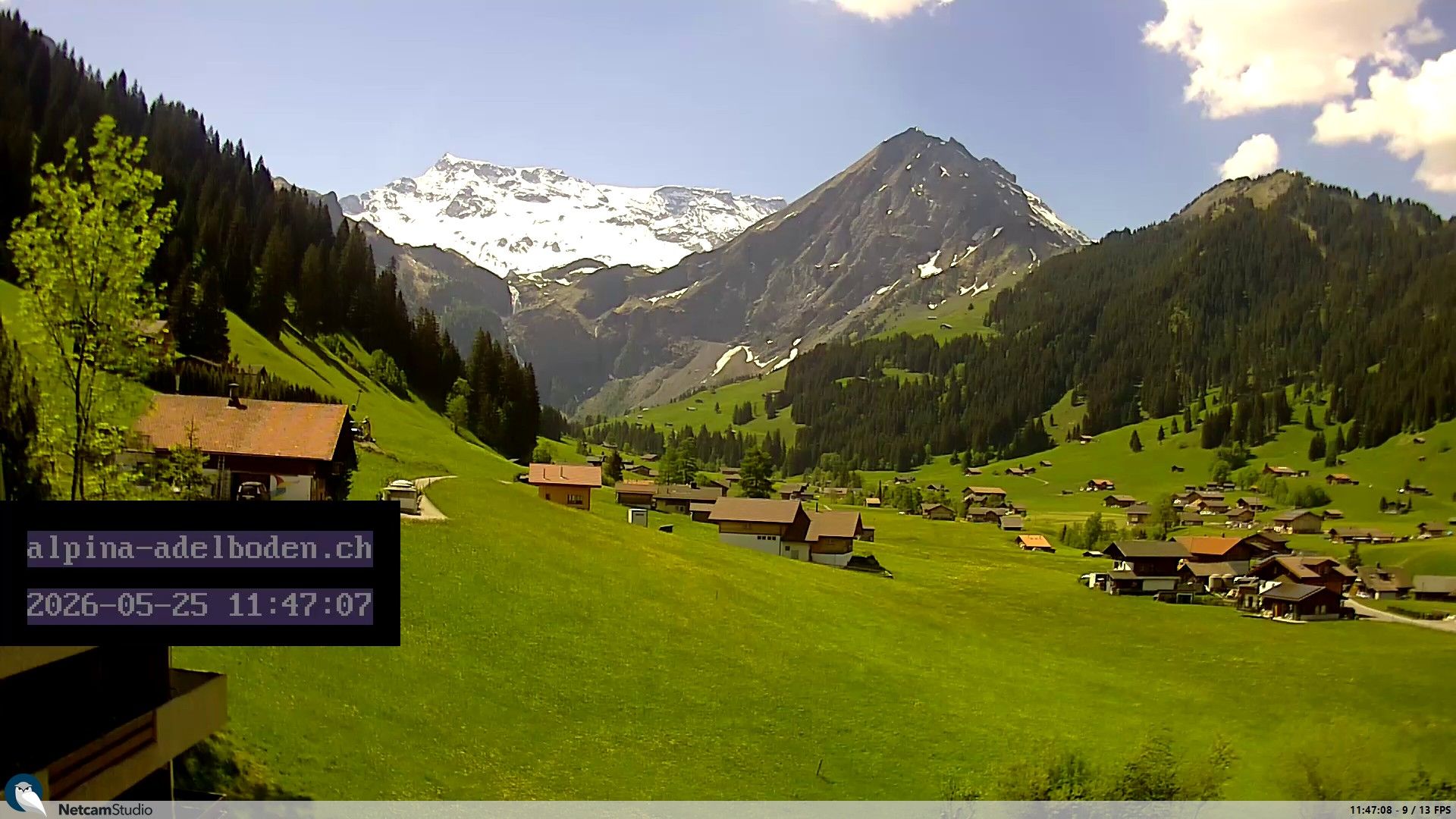 Adelboden: Engstligenalp - Wildstrubel