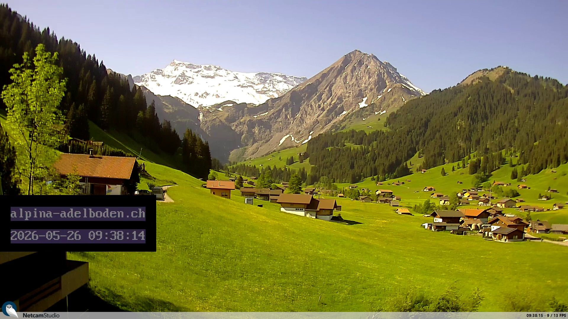 Adelboden: Engstligenalp - Wildstrubel