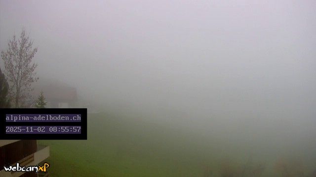 Adelboden: Engstligenalp - Wildstrubel