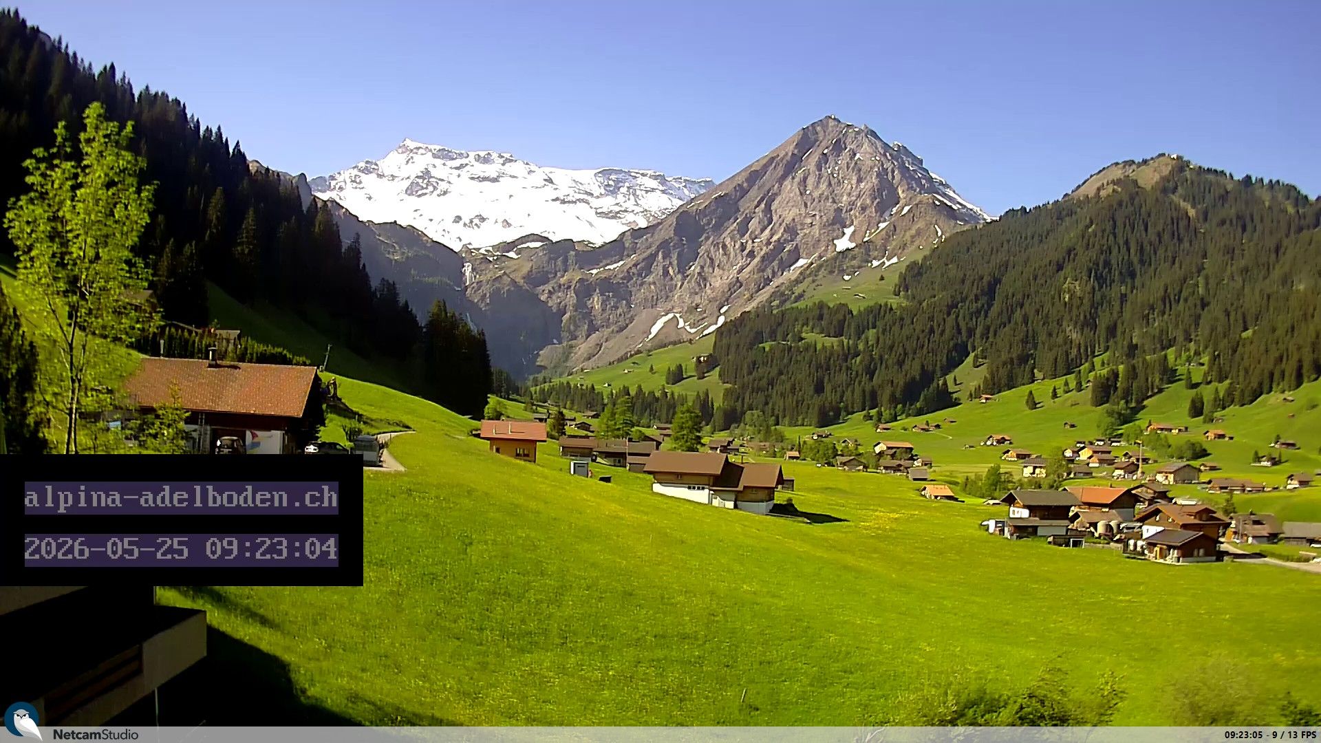 Adelboden: Engstligenalp - Wildstrubel