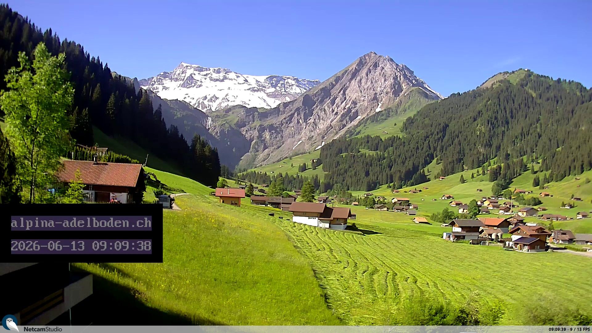 Adelboden: Engstligenalp - Wildstrubel
