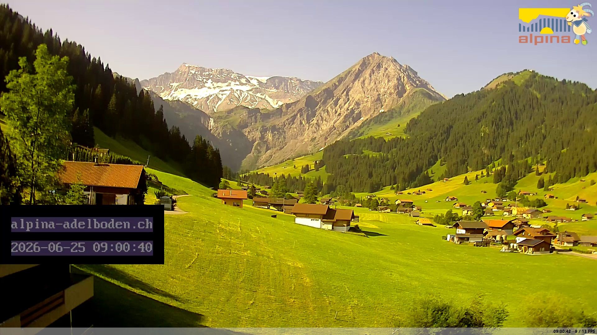 Adelboden: Engstligenalp - Wildstrubel
