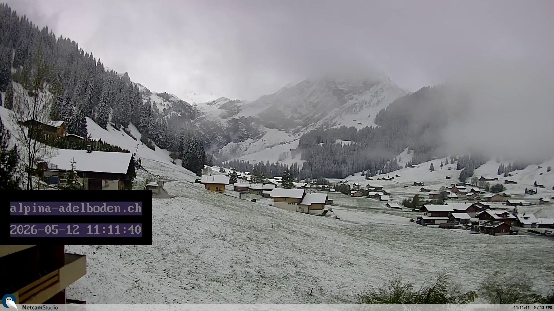 Adelboden: Engstligenalp - Wildstrubel