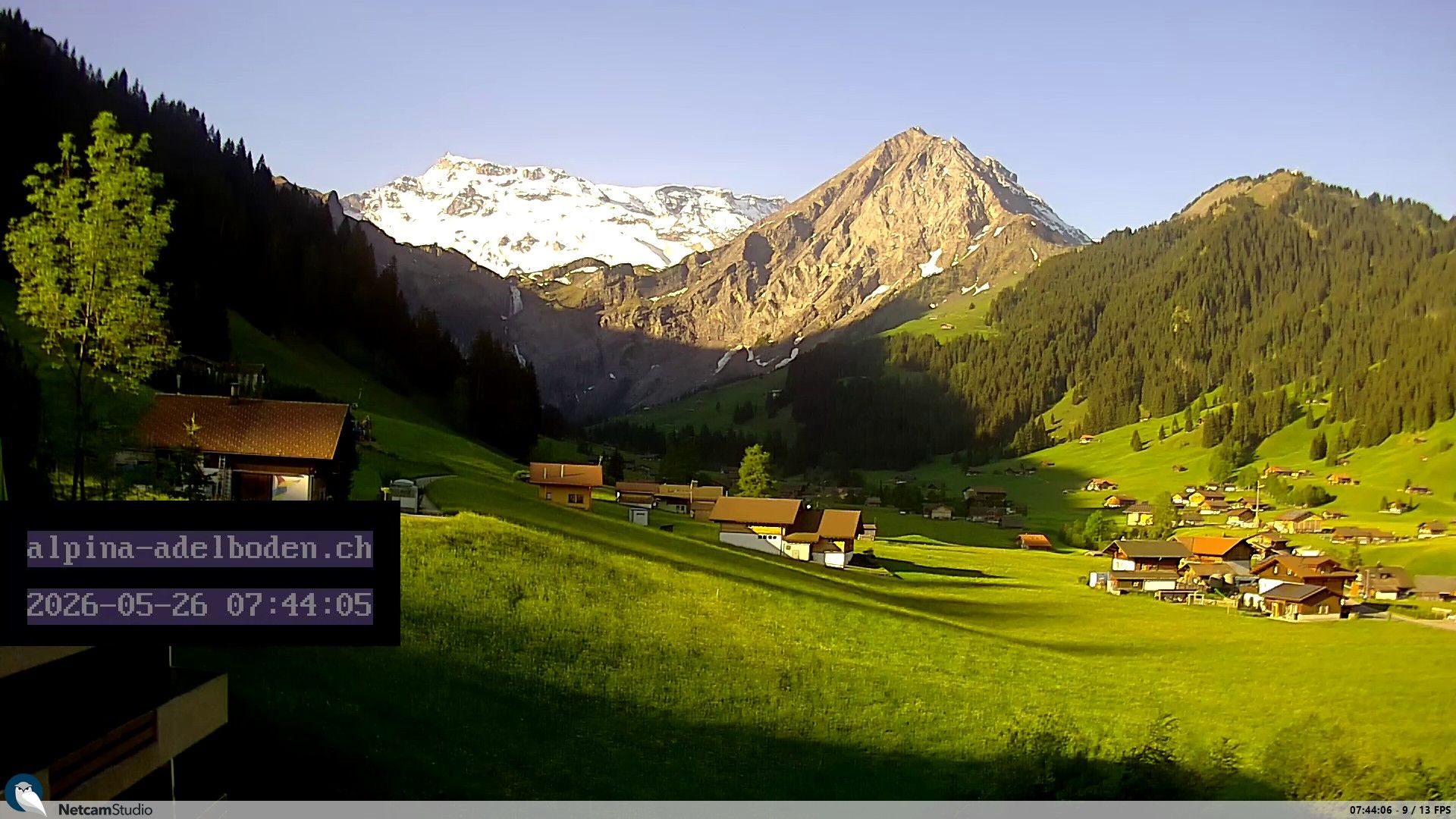 Adelboden: Engstligenalp - Wildstrubel