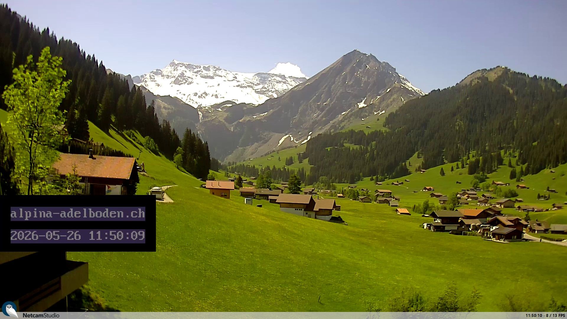 Adelboden: Engstligenalp - Wildstrubel