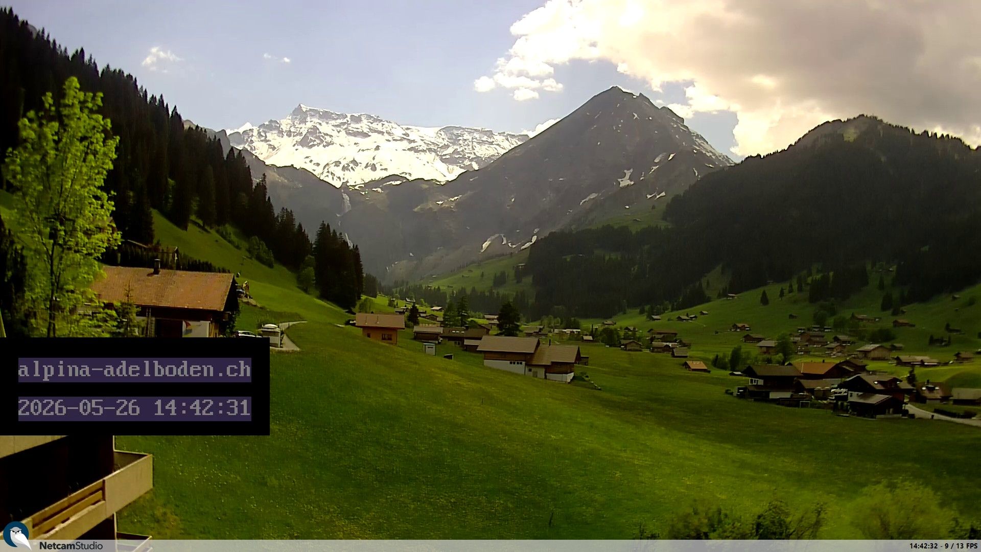 Adelboden: Engstligenalp - Wildstrubel