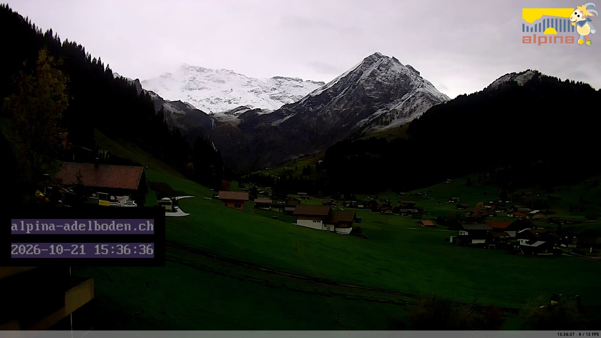 Adelboden: Engstligenalp - Wildstrubel