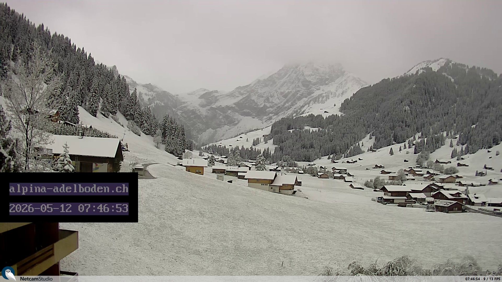 Adelboden: Engstligenalp - Wildstrubel