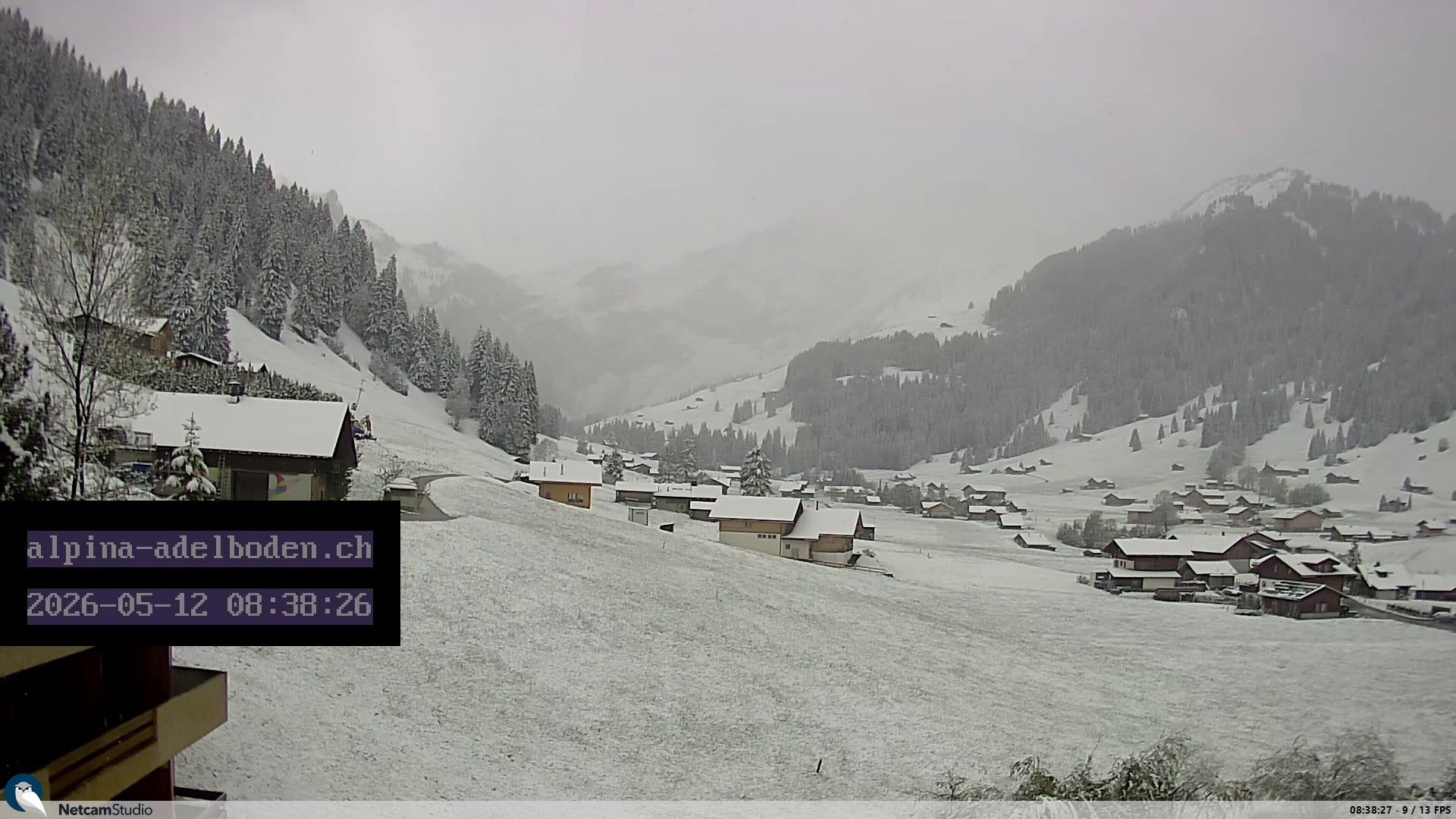 Adelboden: Engstligenalp - Wildstrubel