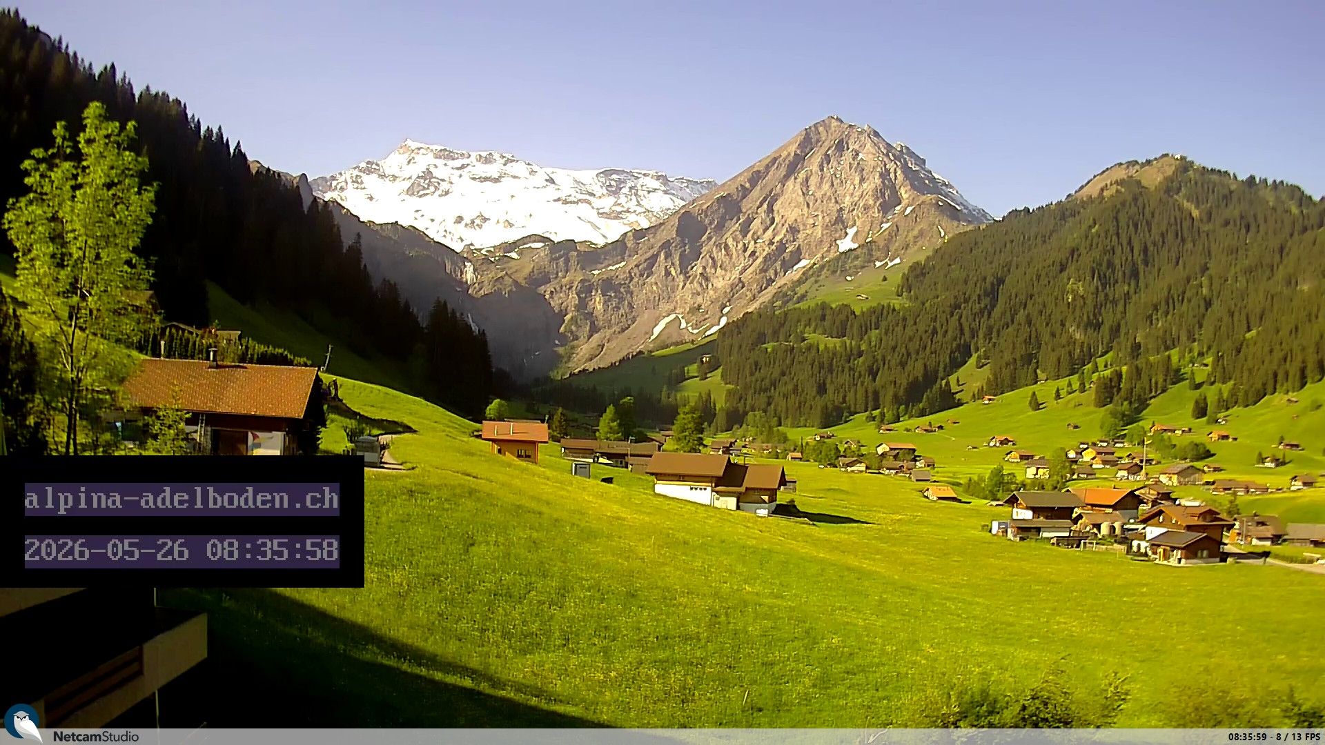 Adelboden: Engstligenalp - Wildstrubel