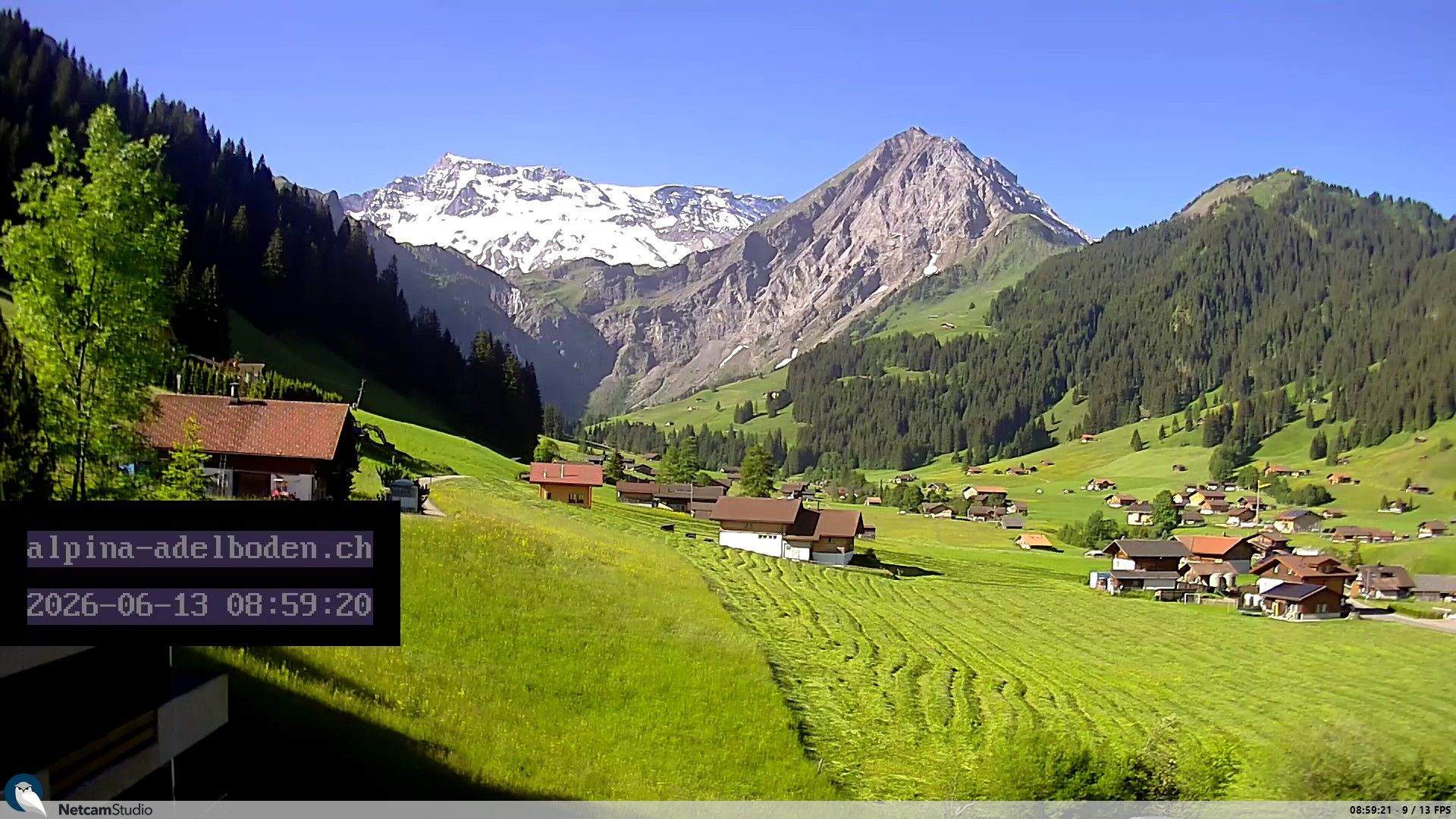 Adelboden: Engstligenalp - Wildstrubel