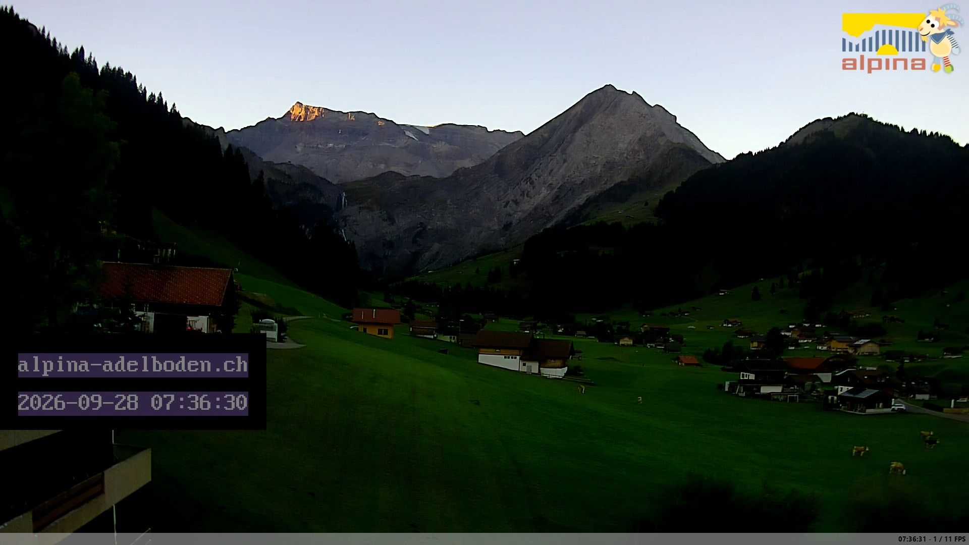 Adelboden: Engstligenalp - Wildstrubel