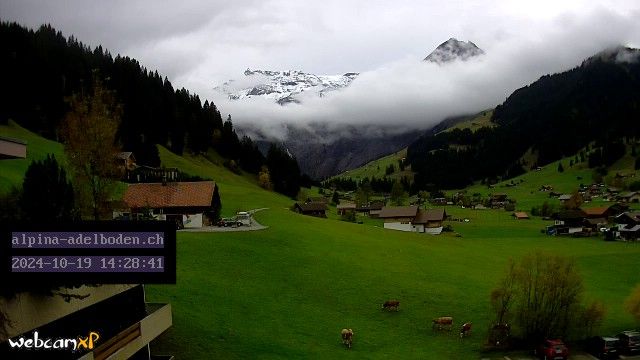 Adelboden: Engstligenalp - Wildstrubel