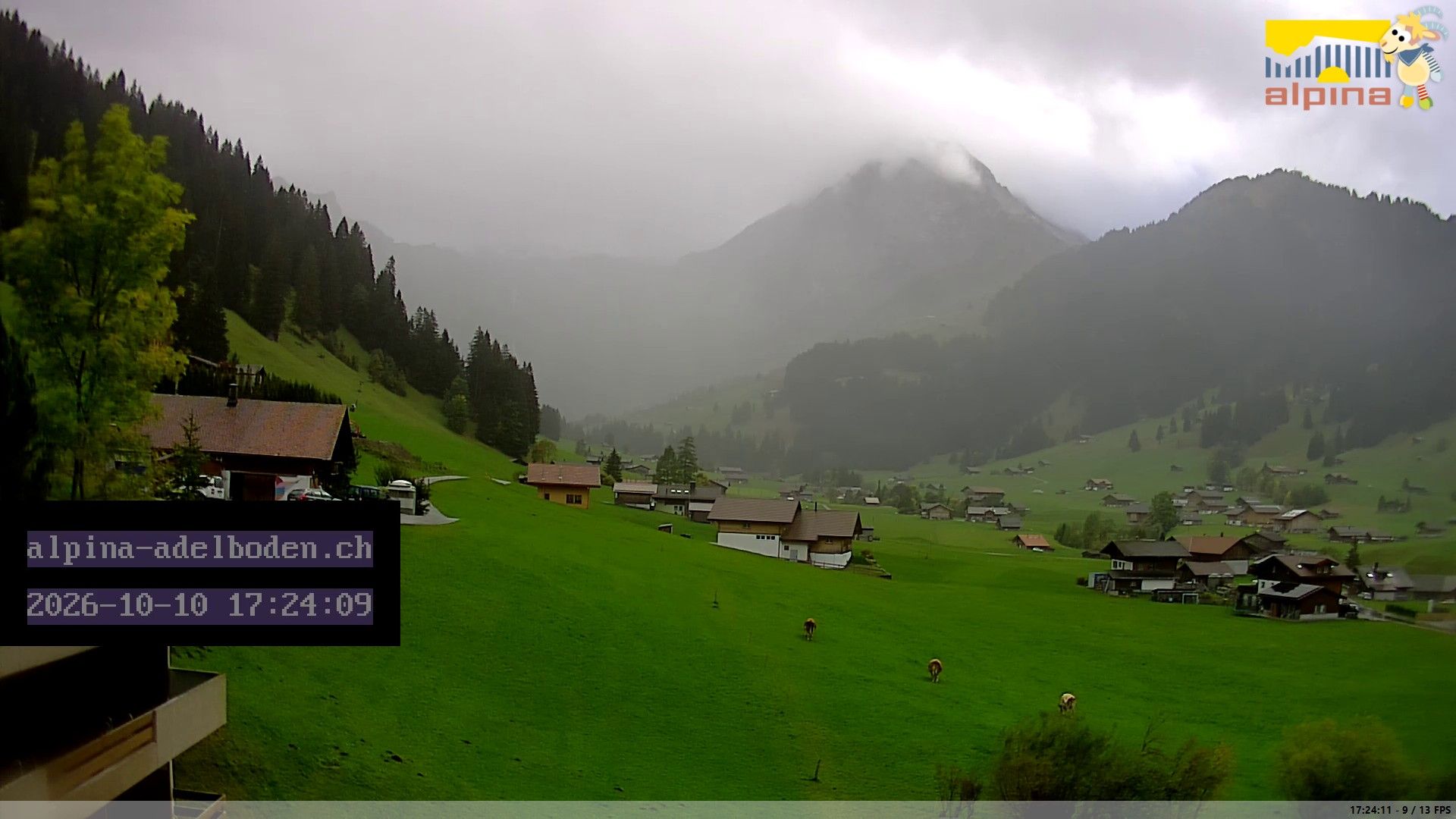 Adelboden: Engstligenalp - Wildstrubel