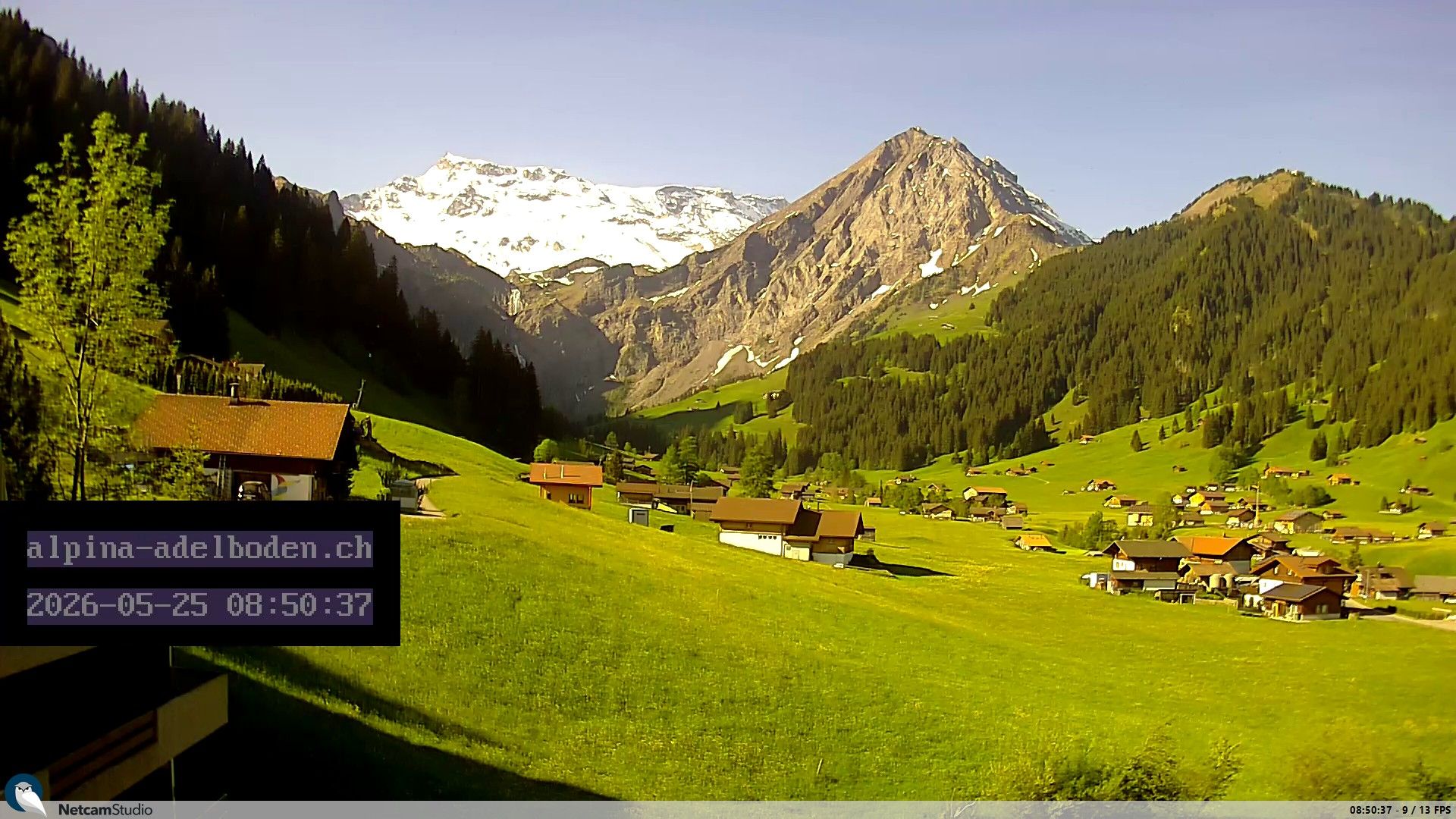 Adelboden: Engstligenalp - Wildstrubel