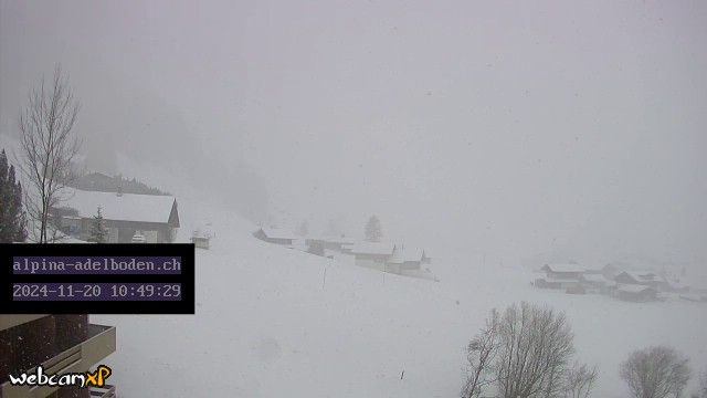 Adelboden: Engstligenalp - Wildstrubel