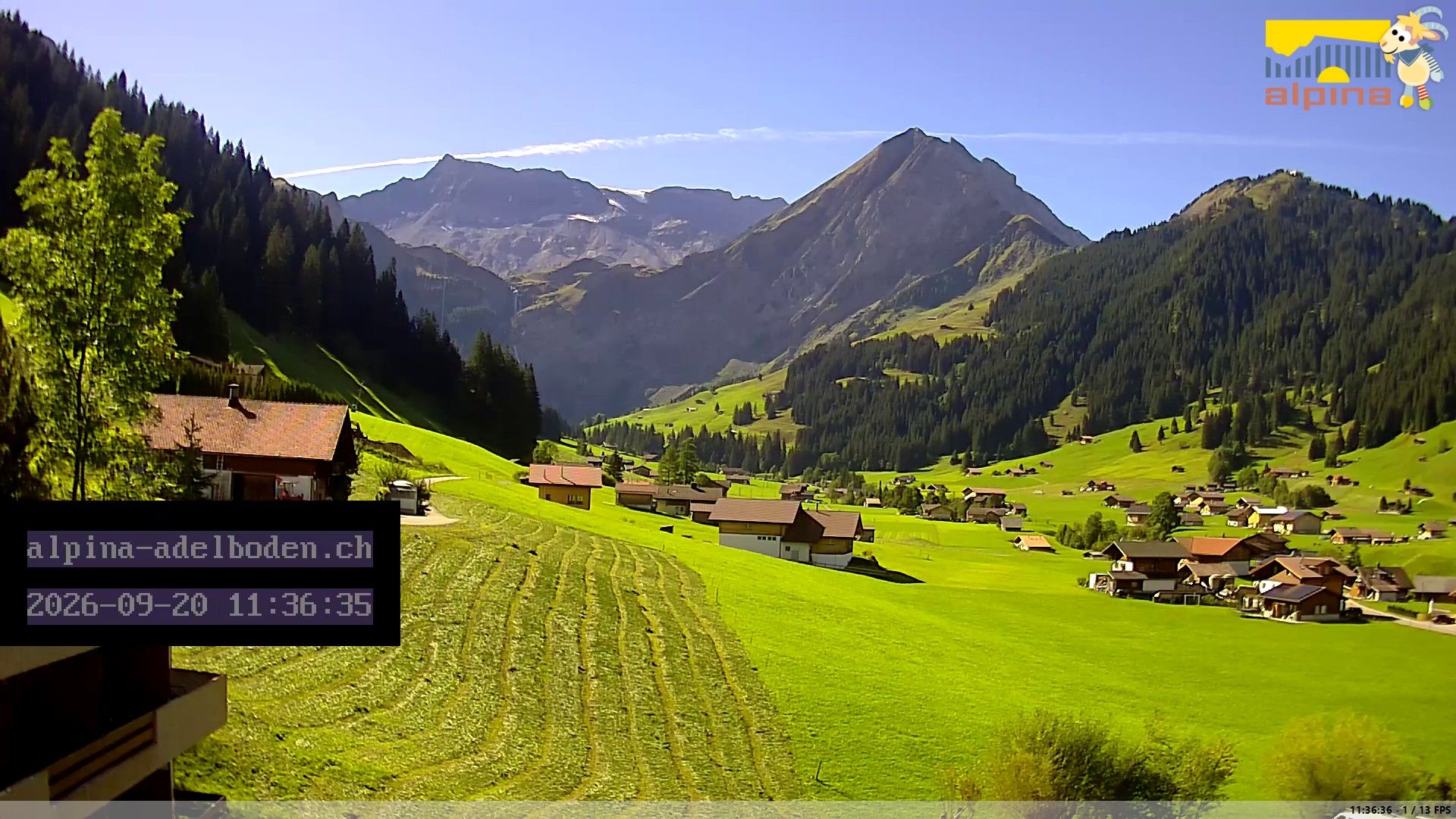 Adelboden: Engstligenalp - Wildstrubel