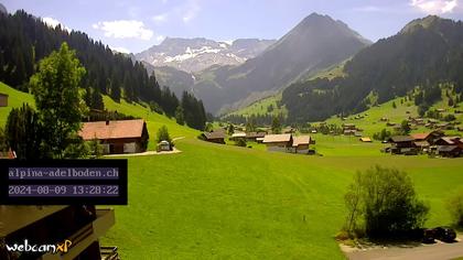 Adelboden: Engstligenalp - Wildstrubel