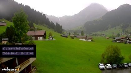 Adelboden: Engstligenalp - Wildstrubel