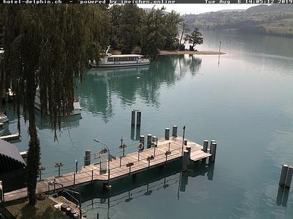 Meisterschwanden: Hallwilersee - Sicht vom Seehotel Delphin