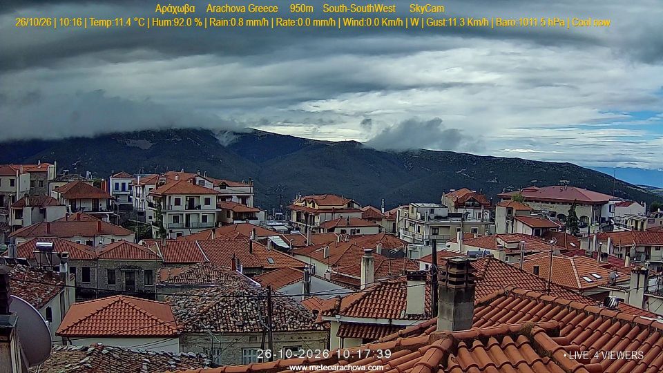 Delphi webcam