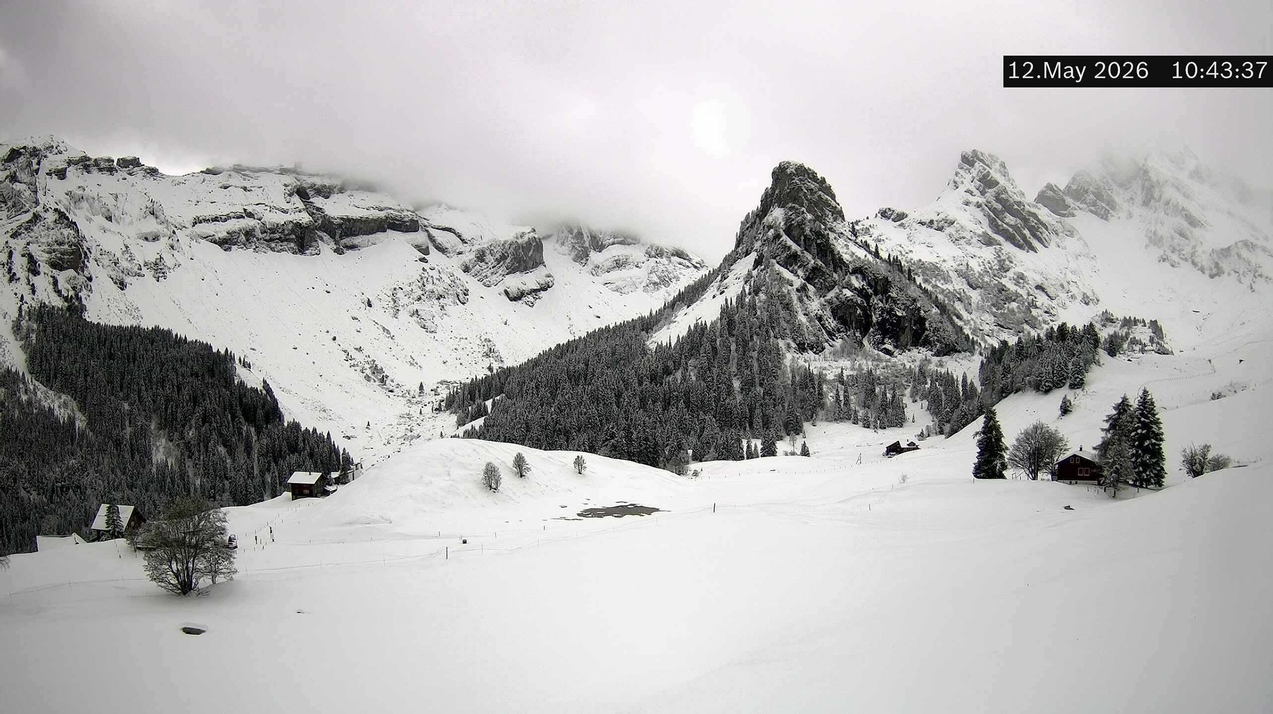 Isenthal › Westen: Gitschenen - Uri