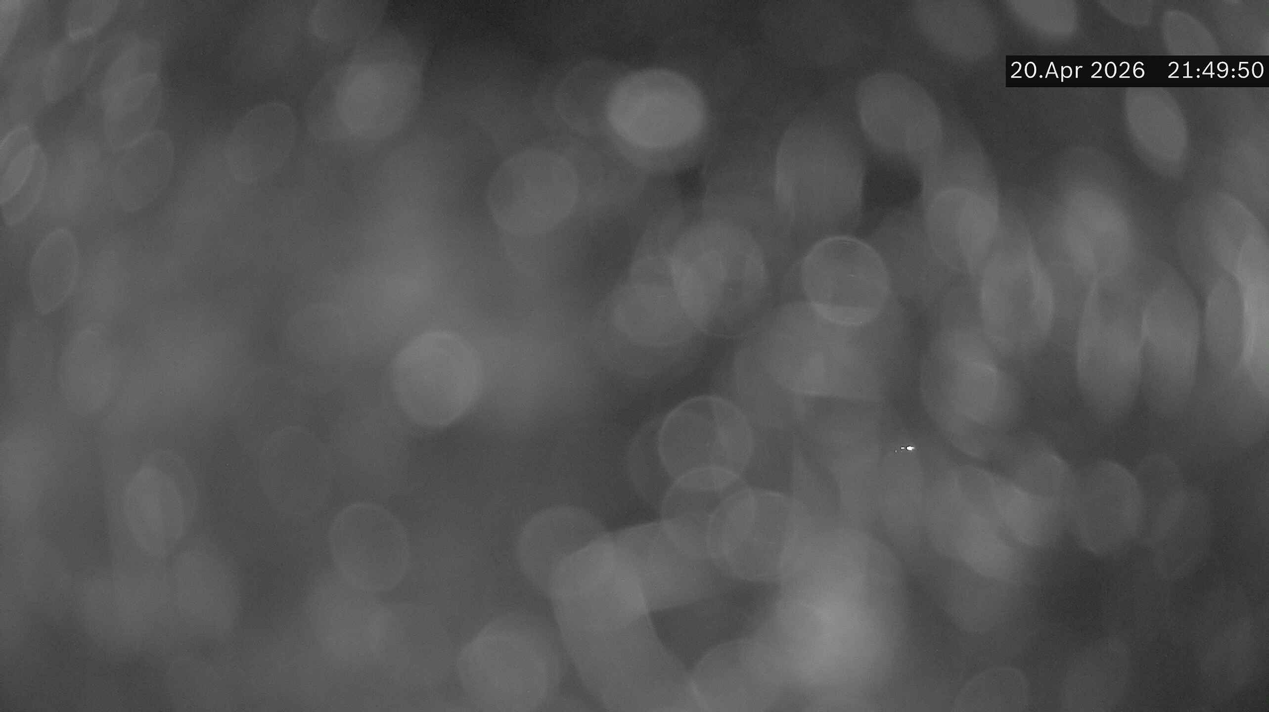 Isenthal › Westen: Gitschenen - Uri