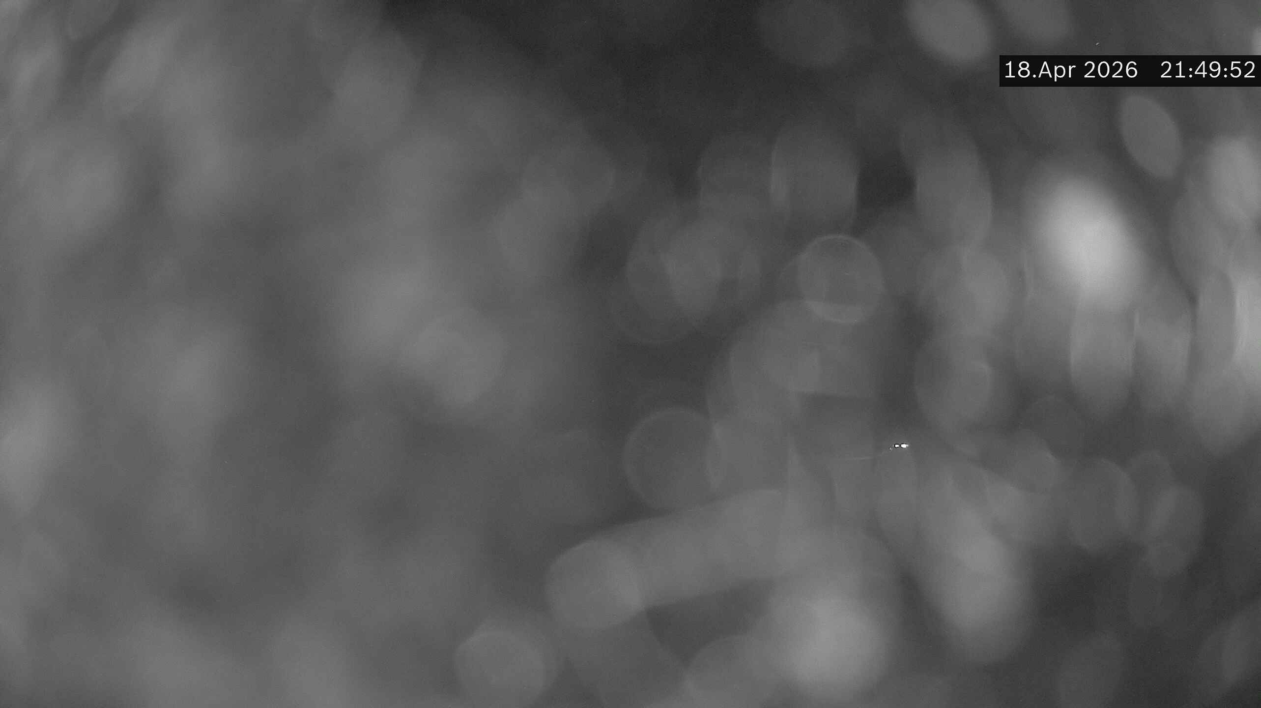 Isenthal › Westen: Gitschenen - Uri