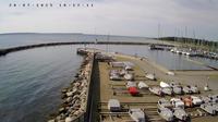 Lystrup › South-East: Kalø Vig - Central Jutland