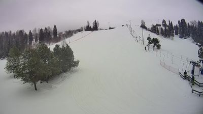 Туношенское сельское поселение