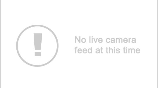 Traffic Cam Lee › West