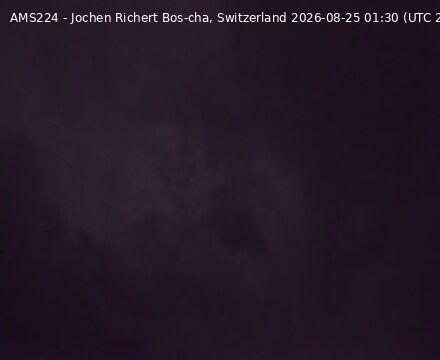 Scuol › Südwesten: Bos-cha