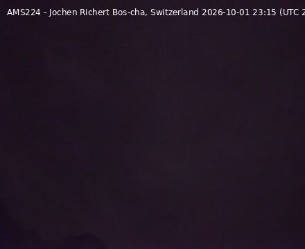 Scuol › Südwesten: Bos-cha