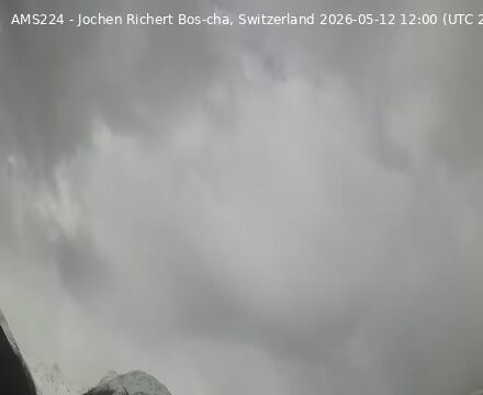 Scuol › Südwesten: Bos-cha
