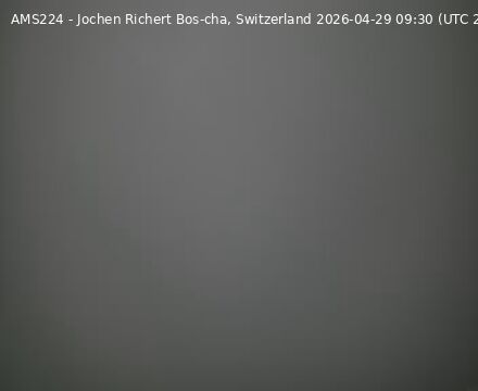 Scuol › Südwesten: Bos-cha