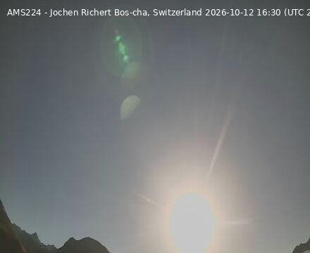 Scuol › Südwesten: Bos-cha