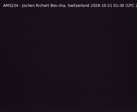 Scuol › Südwesten: Bos-cha