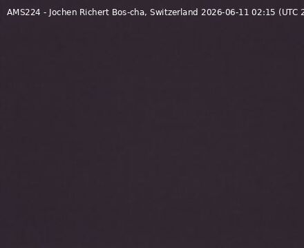 Scuol › Südwesten: Bos-cha