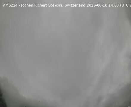Scuol › Südwesten: Bos-cha