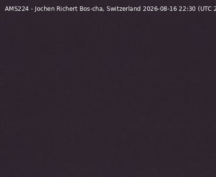 Scuol › Südwesten: Bos-cha