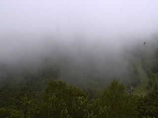 Gunma during daytime